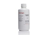 图片包含 用具, 乳液, 游戏机, 桌子

AI 生成的内容可能不正确。, Picture