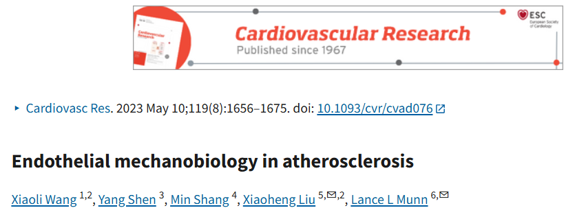 动脉粥样硬化中的内皮细胞力学生物学