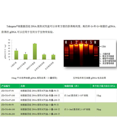 细菌基因组DNA提取试剂盒-小量