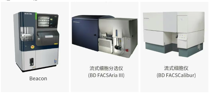 数据说话！揭秘兔单克隆抗体开发技术的核心优势【可一键咨询技术专家】