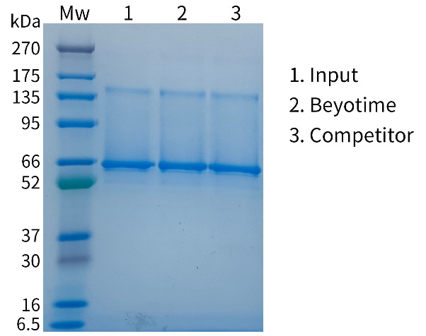 Heparin Agarose (肝素琼脂糖凝胶)