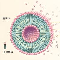 脂质体纳米颗粒包裹塞来昔布 Celecoxib@Liposome