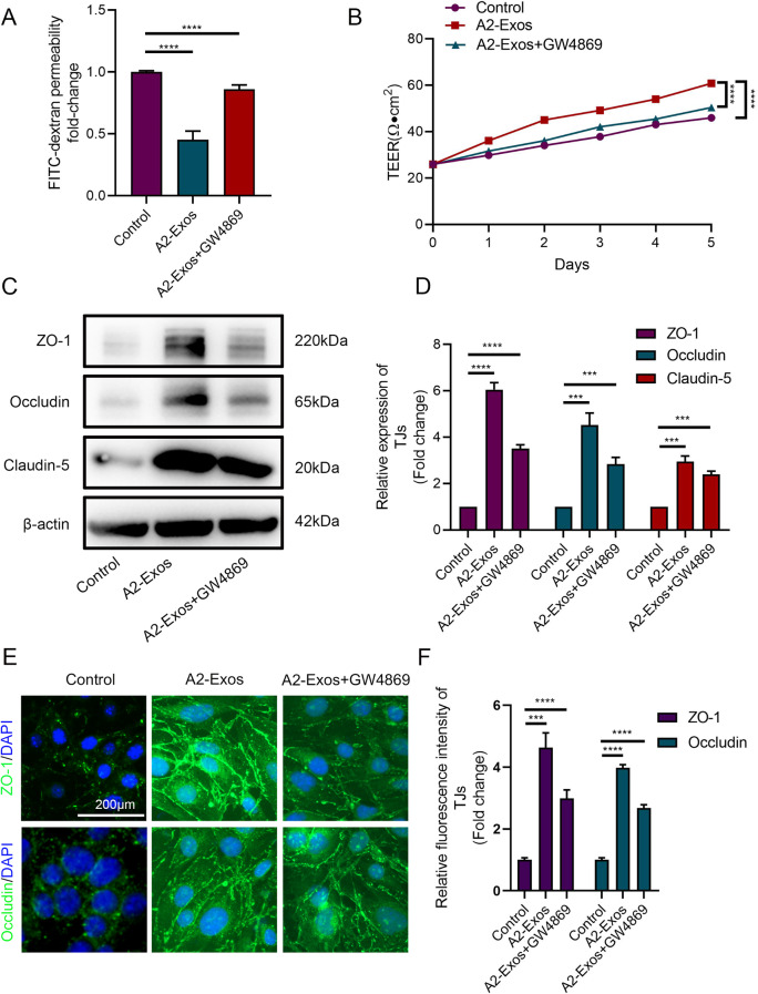 外泌体鉴定 外泌体鉴定