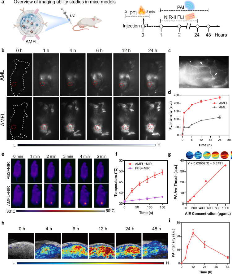 外泌体技术服务 外泌体技术服务