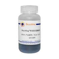 BeyoMag™肝素琼脂糖磁珠