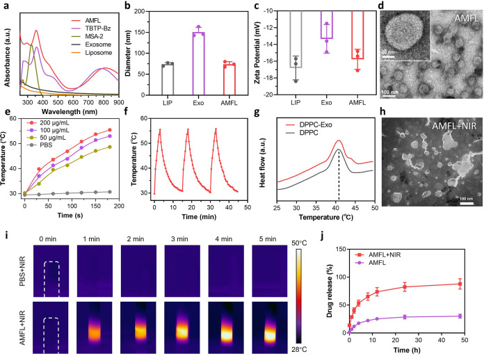 外泌体技术服务 外泌体技术服务