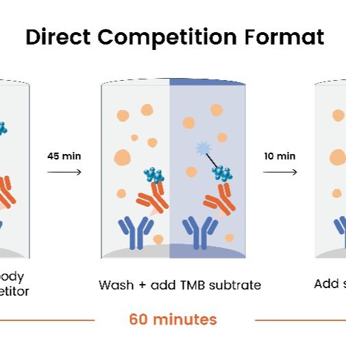 一步法酶联免疫吸附测定试剂盒