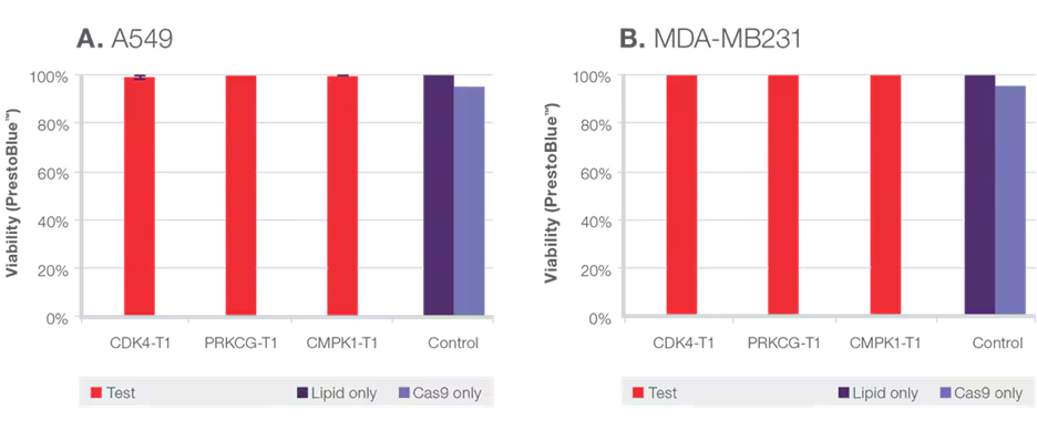 图表, 条形图

AI 生成的内容可能不正确。, Picture