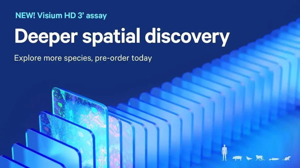 “芯空一号” Update：Visium HD 3’ polyA-家族新成员预定！