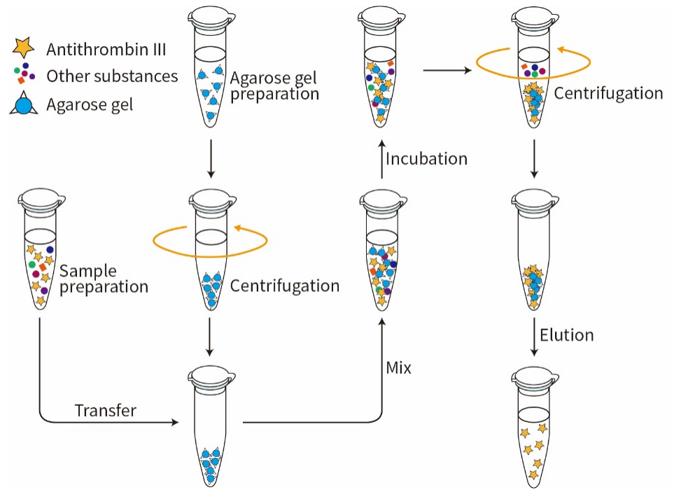 Heparin Agarose (肝素琼脂糖凝胶)