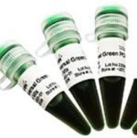 1Ribonuclease Inhibitor(40 U/μl)