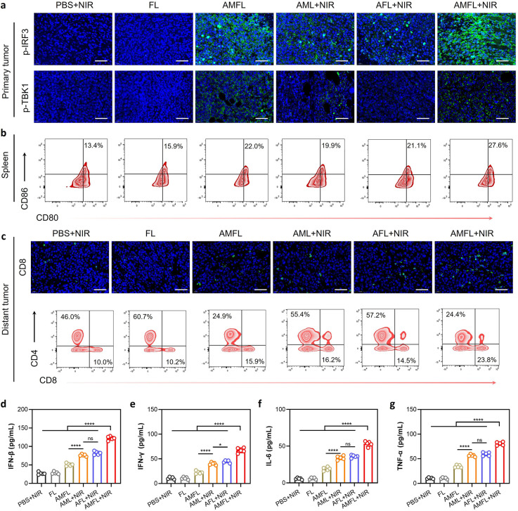 外泌体技术服务