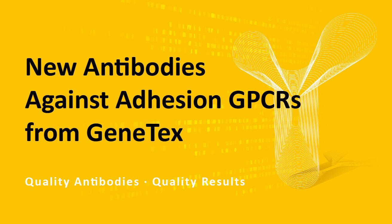 GeneTex 新型黏附 GPCR 抗体