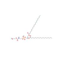 DSPE-PEG-RAGLQFPVGRLLRRLLR  DSPE-PEG-BR2  BR2-PEG-DSPE  磷脂-聚乙二醇-靶向穿膜肽