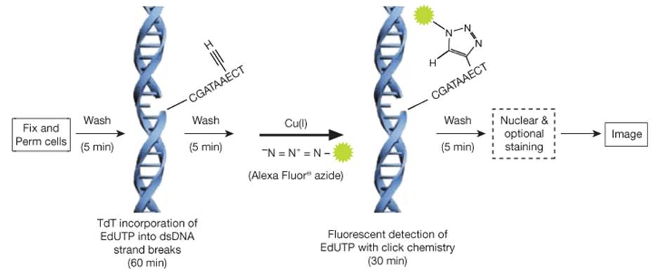 图示

AI 生成的内容可能不正确。, Picture