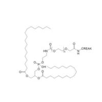 DSPE-PEG-Cys-Arg-Glu-Lys-Ala DSPE-PEG-CREAK CREAK-PEG-DSPE 磷脂-聚乙二醇-靶向肽