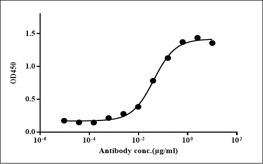 Recombinant Human CD137L /His