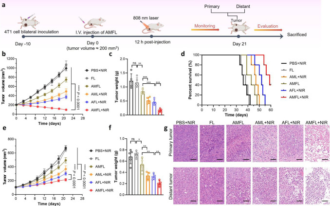 外泌体技术服务 外泌体技术服务