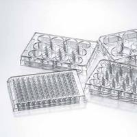 洁特一次性细胞培养板 北京鼎国一级代理