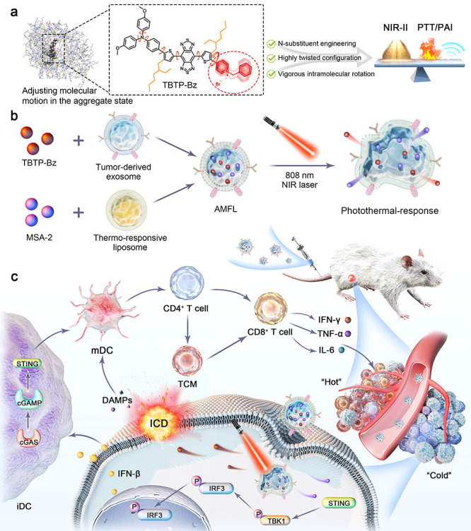 外泌体技术服务 外泌体技术服务