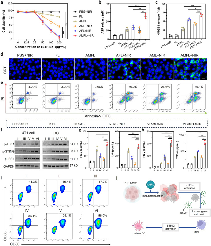 外泌体表征 外泌体表征