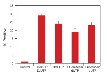 图表, 条形图

AI 生成的内容可能不正确。, Picture