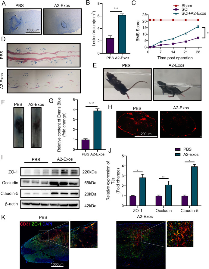 外泌体技术服务 外泌体技术服务