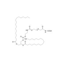 DSPE-PEG-Cys-Ala-Glu-Lys DSPE-PEG-CAQK CAQK-PEG-DSPE 磷脂-聚乙二醇-脑损伤靶向肽