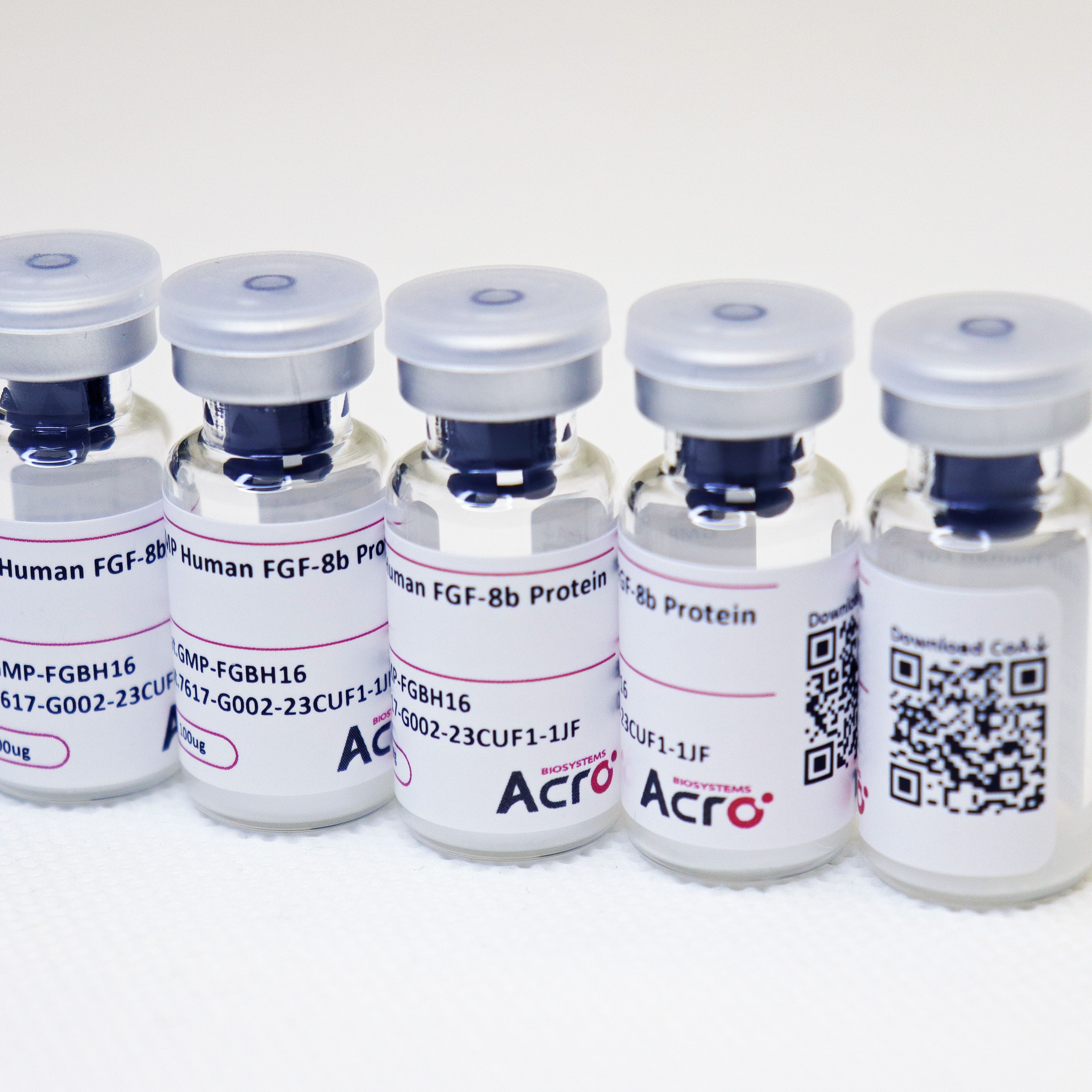 单克隆 抗粘蛋白-1抗体, 小鼠 (13A5)