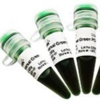 2×Universal Green PCR Master Mix 1