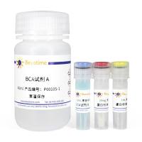 BCA蛋白浓度测定试剂盒(增强型)