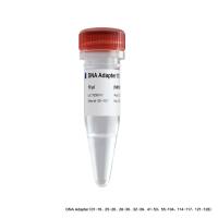 VAHTS DNA Adapters set8 for MGI（华大高通量测序平台文库构建专用配套试剂盒）（NM108）