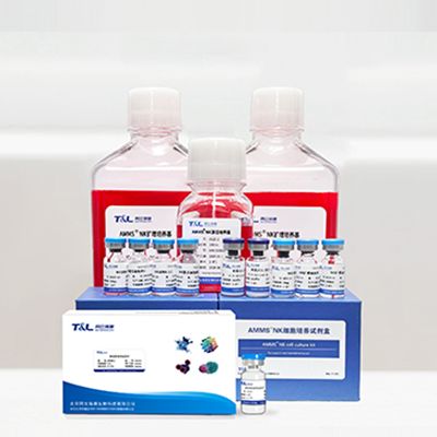 AMMS®高纯度NK试剂盒套装3.0|NK细胞培养|NK细胞扩增