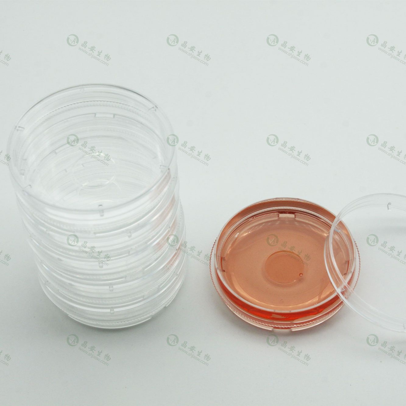 上海晶安氨基修饰/氨基化激光共聚焦玻底小皿