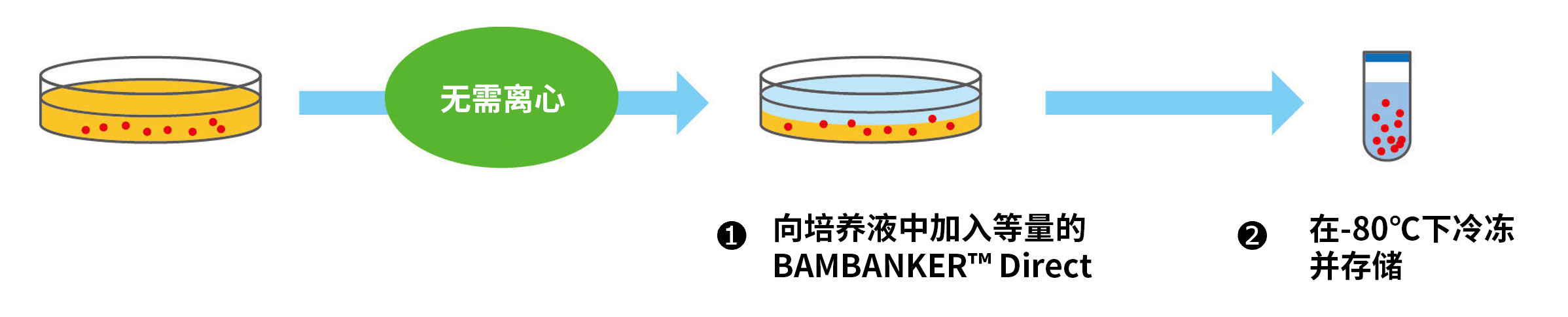 无血清细胞冻存液 BAMBANKER™、BAMBANKER™