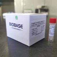 核酸提取或纯化试剂（商品名：Biospin 大量全血基因组DNA提取试剂盒1）