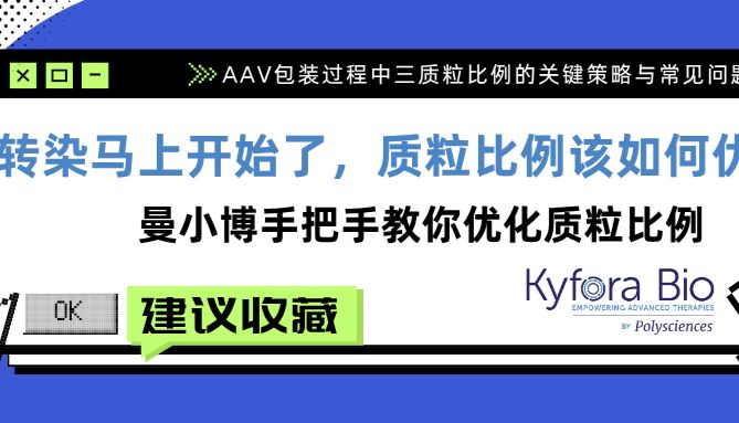 转染马上开始了，质粒比例该如何优化？手把手教你优化质粒比例