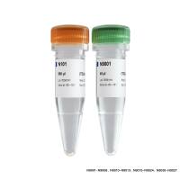 TruePrep Index Kit V4 for Illumina（建库接头）（TD204）