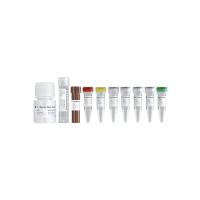 VAHTS Target Capture Hybridization and Wash Kit(NC103)