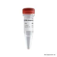Illumina高通量测序平台文库构建配套试剂盒 VAHTS DNA Adapters set3-set6 for Illumina （N805/N806/N807/N808）