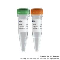 TruePrep Index Kit V3 for Illumina(建库试剂接头引物)(TD203)