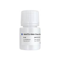 VAHTS RNA Clean Beads（RNA纯化磁珠）（N412）