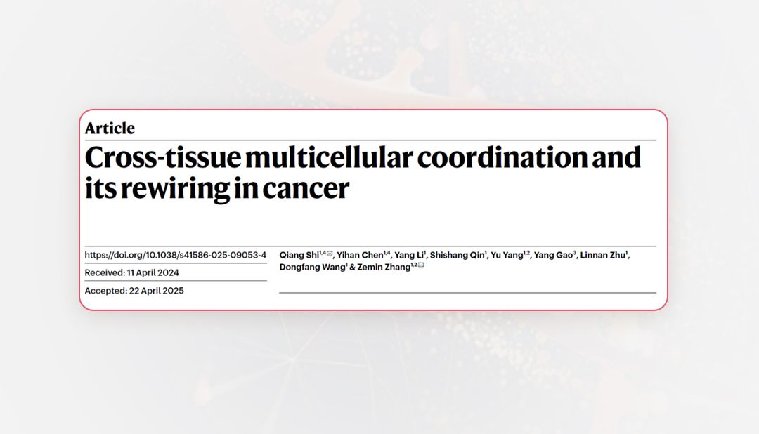 Nature | 新概念新方法新发现—张泽民课题组揭示跨组织多细胞协同模式及其在肿瘤中的重塑