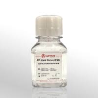 Cellworld 化学成分明确的脂质浓缩液 C2024-043
