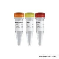 Illumina高通量测序平台文库构建配套试剂盒 VAHTS Universal Plus DNA Library Prep Kit for Illumina（N321/N322）