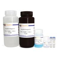 BeyoBCA蛋白浓度快速测定试剂盒