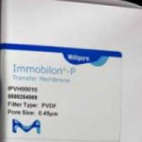 Millipore/密理博Immobilon® -P PVDF Membrane