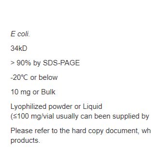 Recombinant Protein A