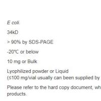 Recombinant Protein A