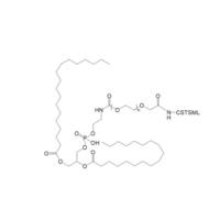 DSPE-PEG-CSTSML  CSTSML-PEG-DSPE   磷脂-聚乙二醇-特异性组织靶向肽